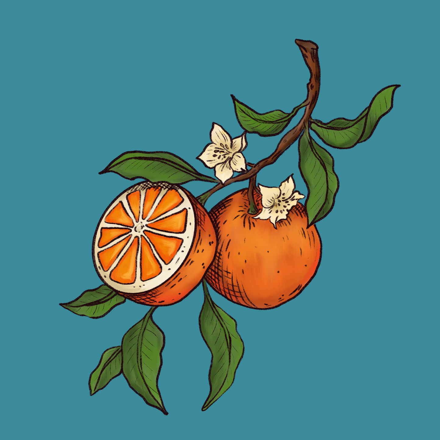 Oranges - Square Print
