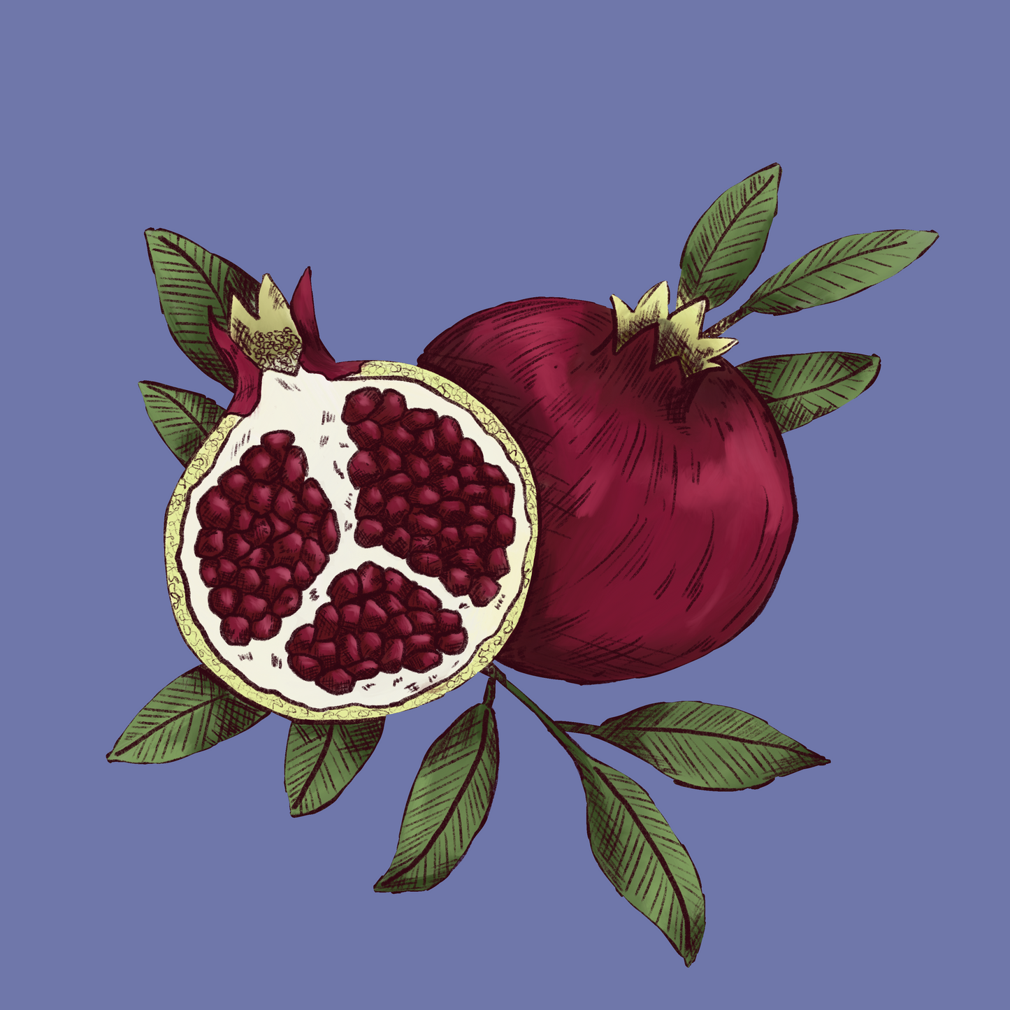 Pomegranate - Square Print