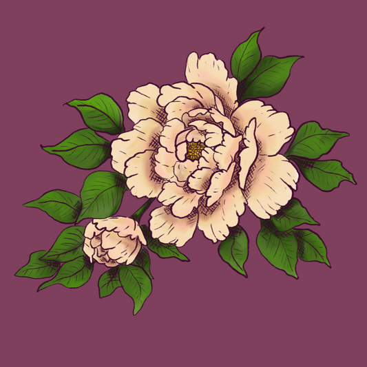 Peony - Square Print