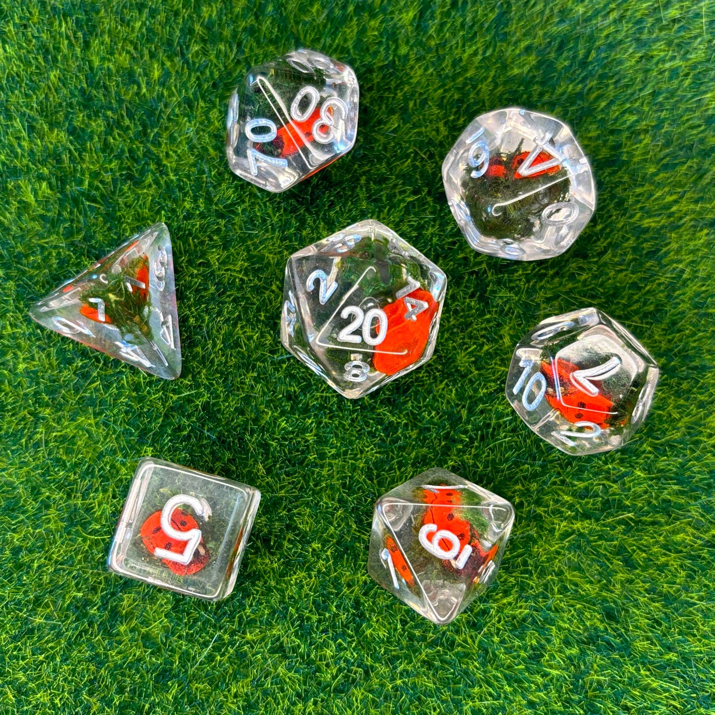 Ladybirds - Dice Set